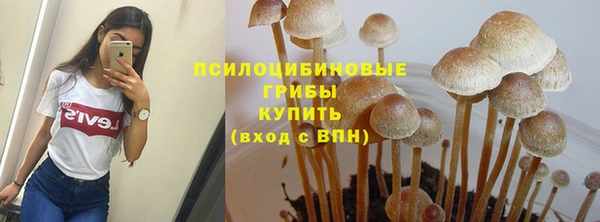 крисы Богданович